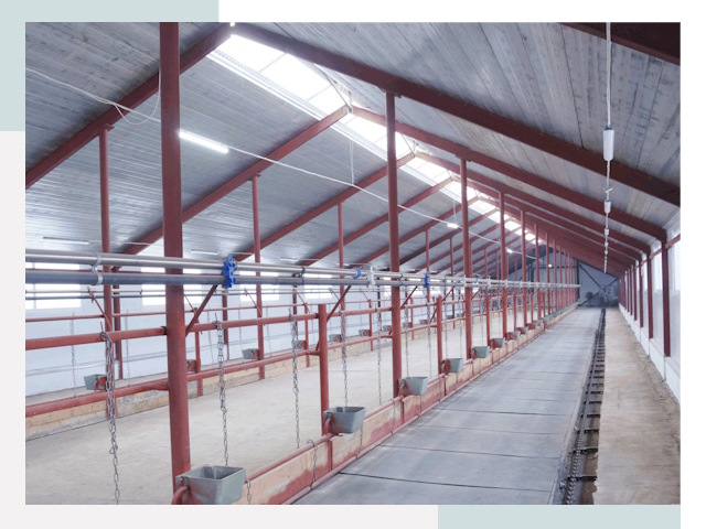 Строительство коровников в Заволжье от 611 руб.