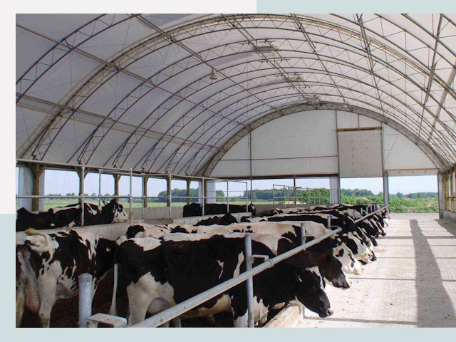 Тентовые коровники в Заволжье